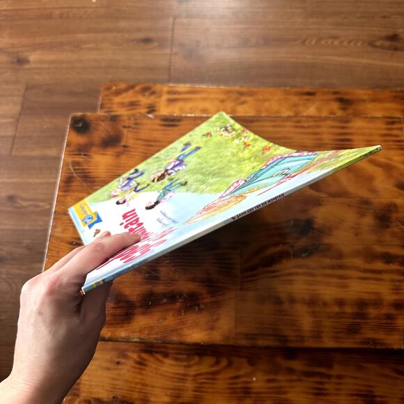 PJ Library Sadie And The Big Mountain Shavout Jewish Paperback Book - Picture 9 of 9